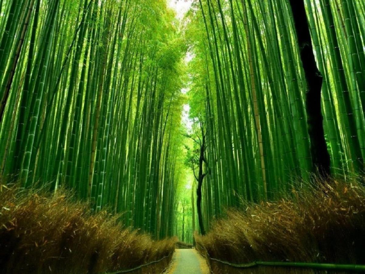 فيلا 町屋 月 Machiya Tsuki كيوتو المظهر الخارجي الصورة